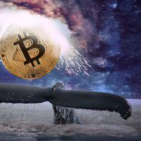 仮想通貨ドージコイン巡りBTC市場に攻防戦か、舞台背景にクジラの影