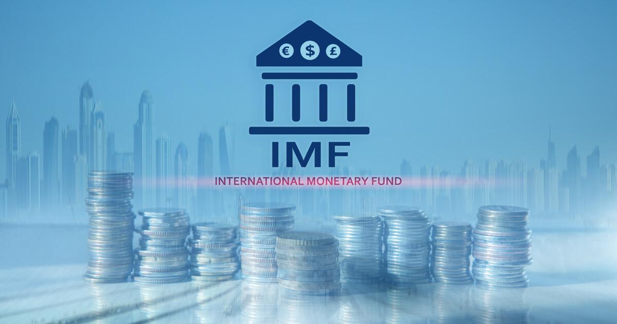 通貨 基金 国際