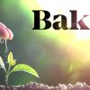 Bakkt、「現金決済BTC先物・BTCオプション」の詳細を公開　取引開始日は12月9日