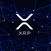加大手仮想通貨取引所「XRP台帳に基づく大型プロジェクトを準備中」 来月にも詳細公開へ