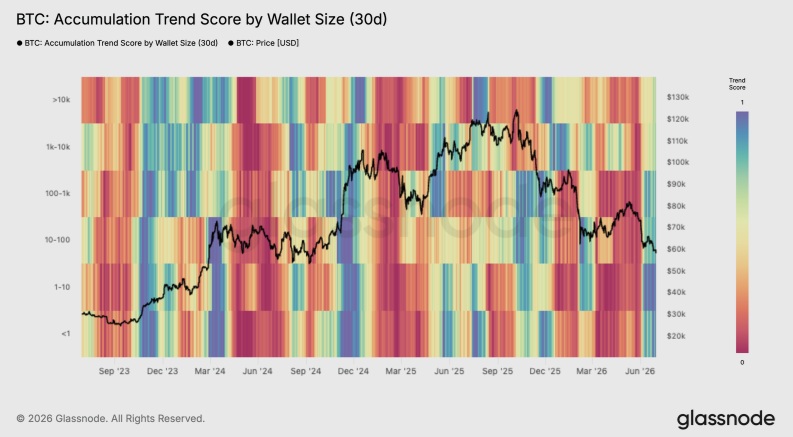 BTC: Accumulation Trend Score by Wallet Size (30d)
